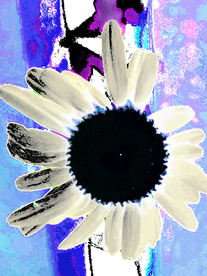 Abstract Vibrant Daisy